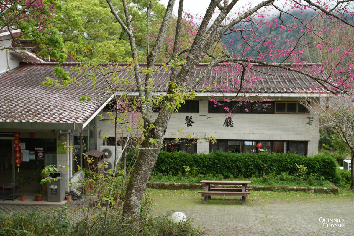 再見棲蘭山莊:休園前入住力麗馬告生態園區,雲霧繚繞的最後身影 - 第18張圖 棲蘭山莊