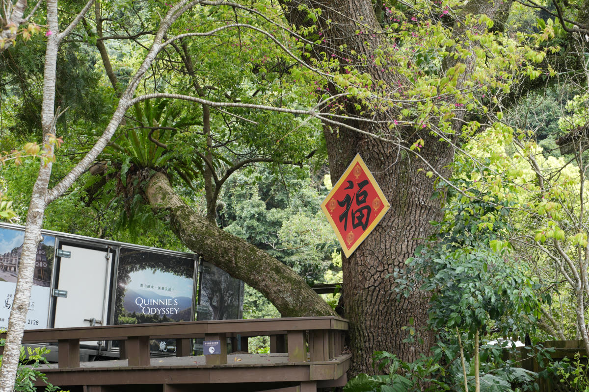 再見棲蘭山莊:休園前入住力麗馬告生態園區,雲霧繚繞的最後身影 - 第19張圖 棲蘭山莊