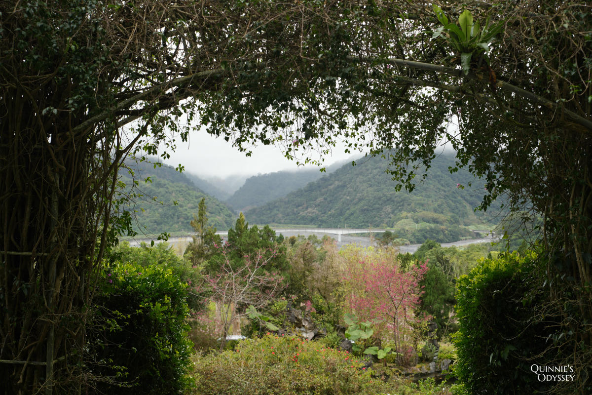 再見棲蘭山莊:休園前入住力麗馬告生態園區,雲霧繚繞的最後身影 - 第8張圖 棲蘭山莊