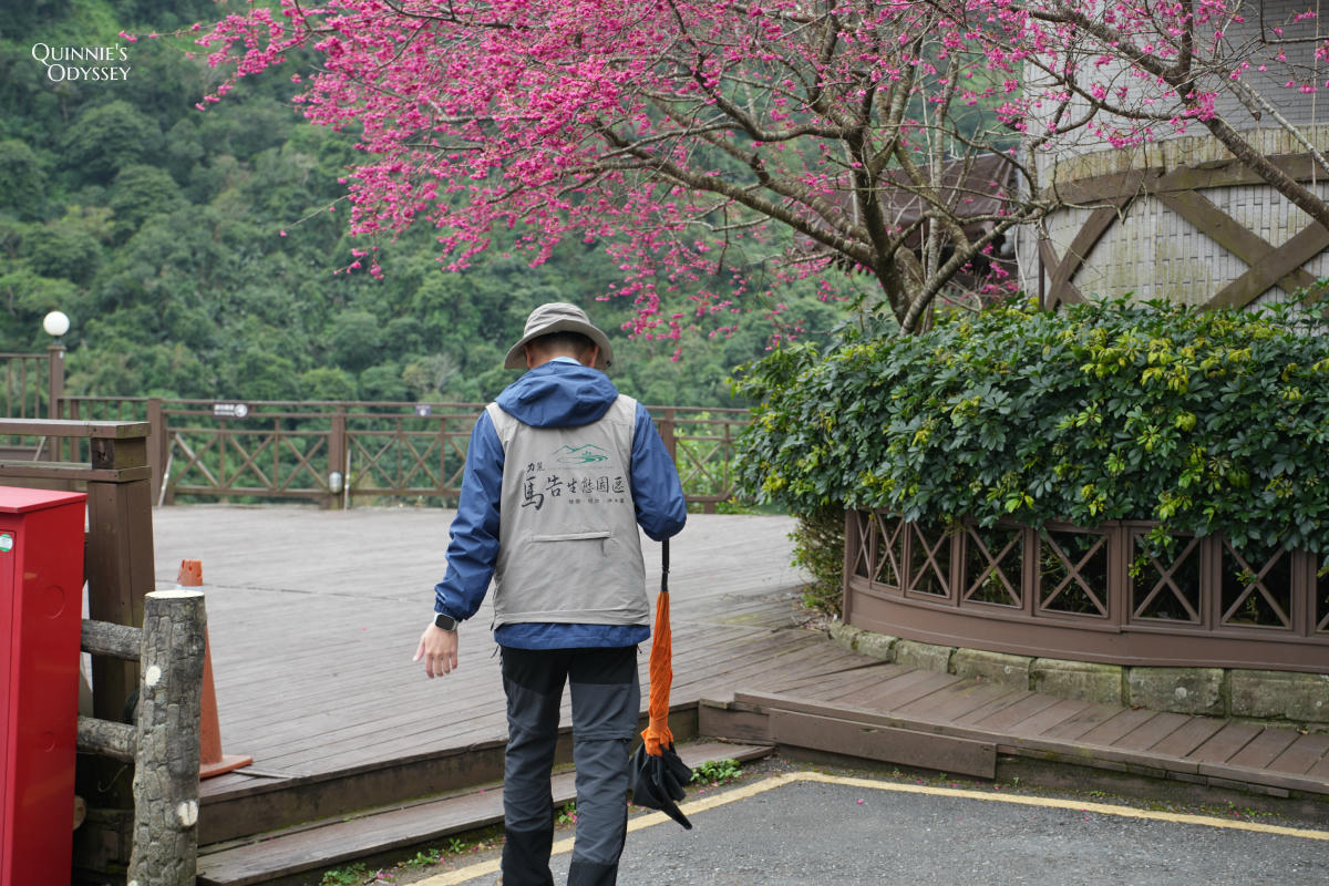 再見棲蘭山莊:休園前入住力麗馬告生態園區,雲霧繚繞的最後身影 - 第14張圖 棲蘭山莊