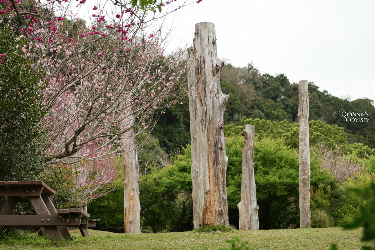 再見棲蘭山莊:休園前入住力麗馬告生態園區,雲霧繚繞的最後身影 - 第6張圖 棲蘭山莊