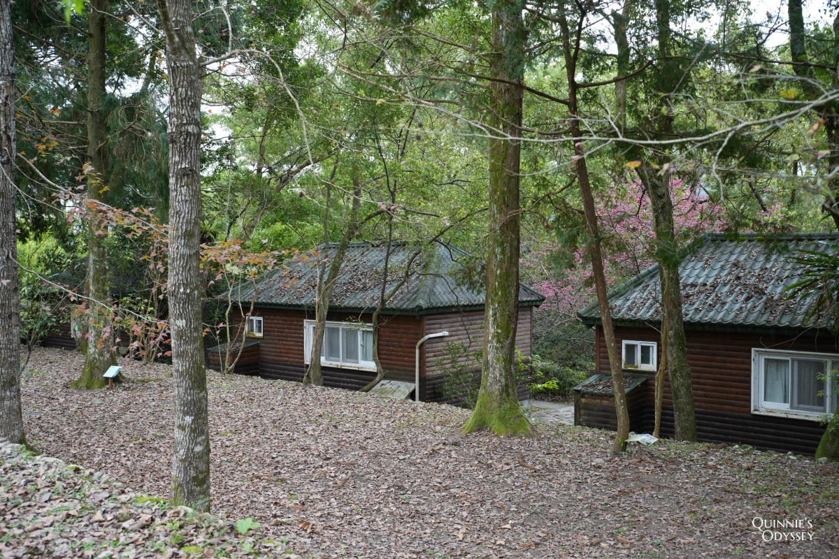 再見棲蘭山莊:休園前入住力麗馬告生態園區,雲霧繚繞的最後身影 - 第29張圖 棲蘭山莊 林間小屋
