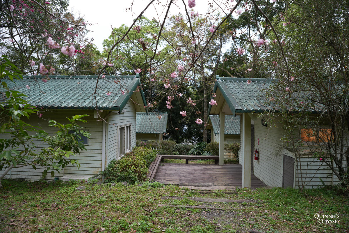 再見棲蘭山莊:休園前入住力麗馬告生態園區,雲霧繚繞的最後身影 - 第30張圖 棲蘭山莊 林間小屋