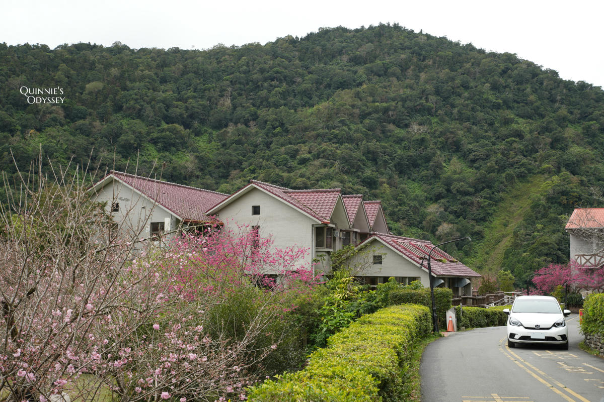 再見棲蘭山莊:休園前入住力麗馬告生態園區,雲霧繚繞的最後身影 - 第3張圖 棲蘭山莊