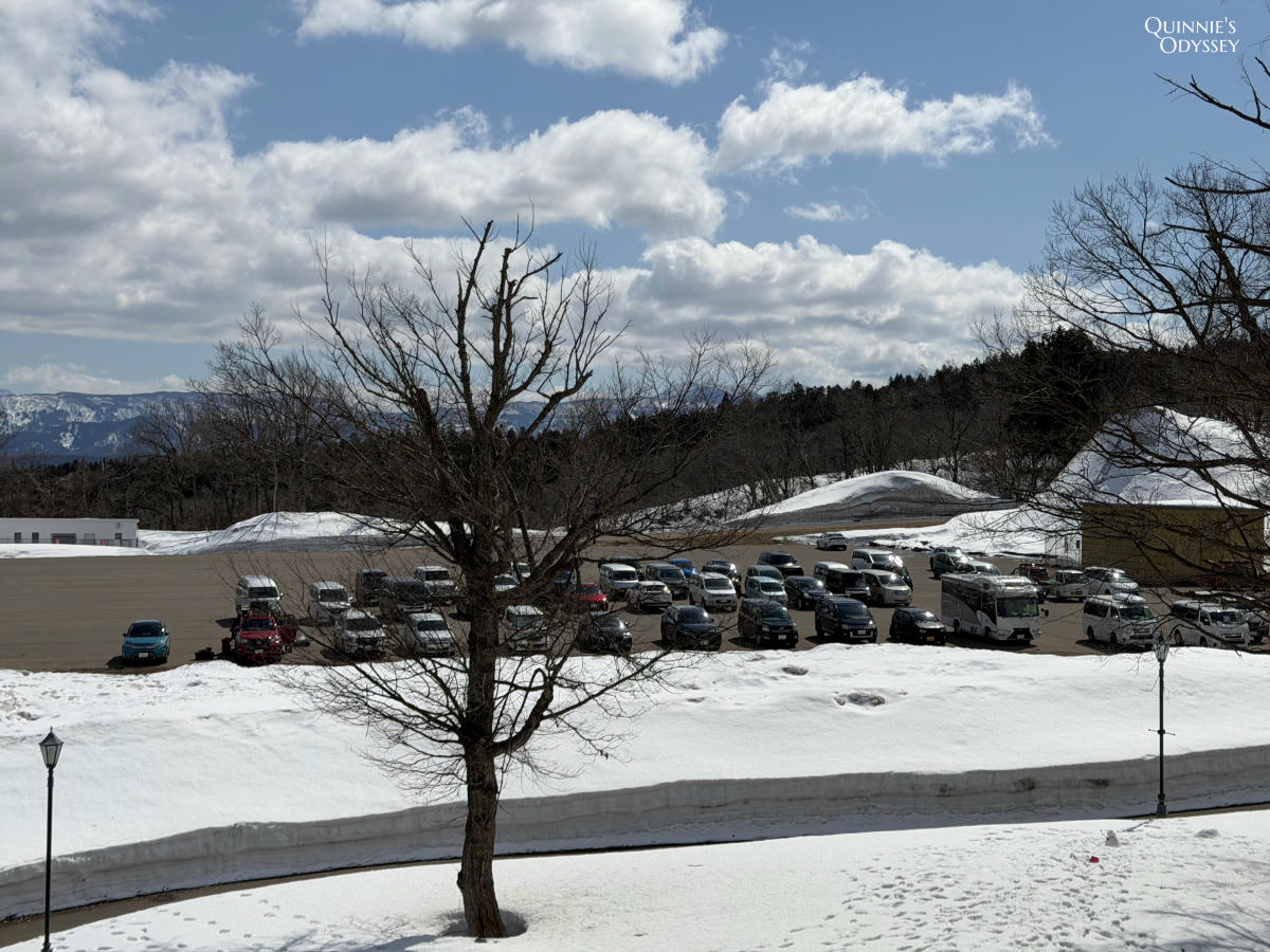 Lotte Arai Resort Review: Rooms, Dining & Ski Slopes in Myoko, Niigata - 第6張圖 Lotte Arai Resort Superior Twin Room view