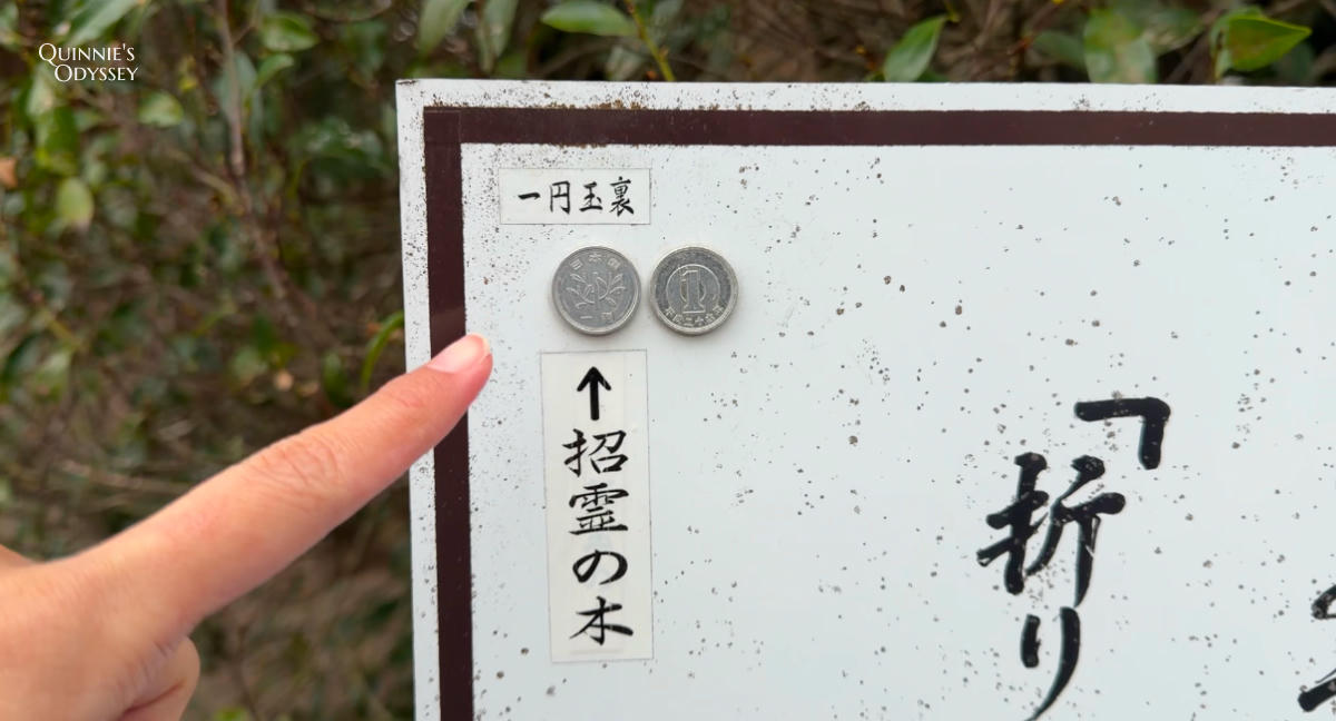 Ikisu Shrine, Sacred Tree (Spirit-Calling Tree)