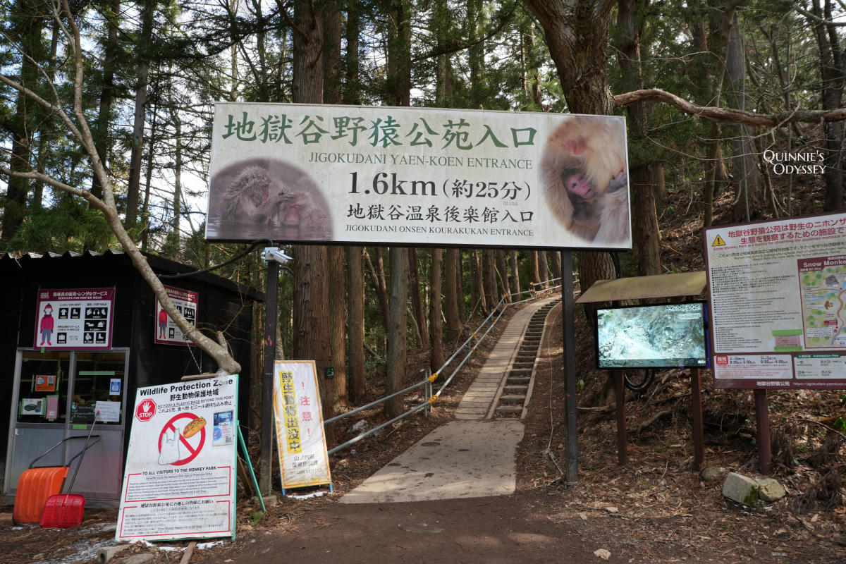 地獄谷野猿公苑:雪猴泡溫泉交通&心得分享-日本長野冬天限定 - 第4張圖 長野地獄谷野猿公苑 入口