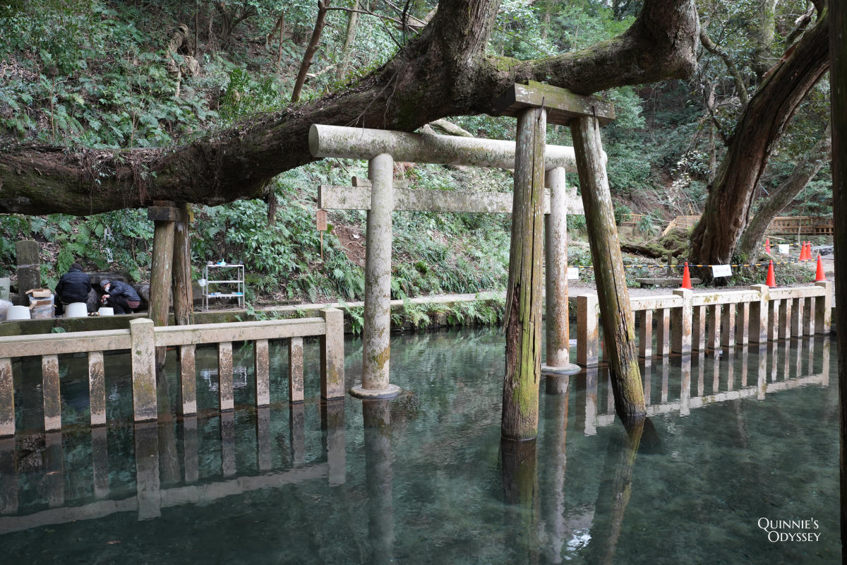 Kashima Jingu: Japan’s Most Powerful Warrior Shrine, Full Travel Guide - 第24張圖 Kashima Jingu, Mitarashi Pond