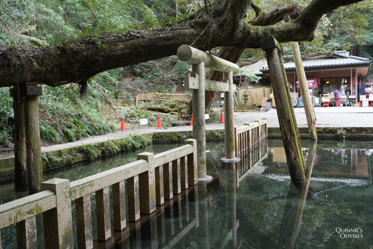 Kashima Jingu: Japan’s Most Powerful Warrior Shrine, Full Travel Guide - 第23張圖 Kashima Jingu, Mitarashi Pond