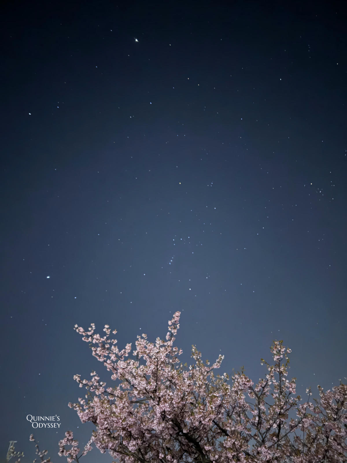 Sawara at Night