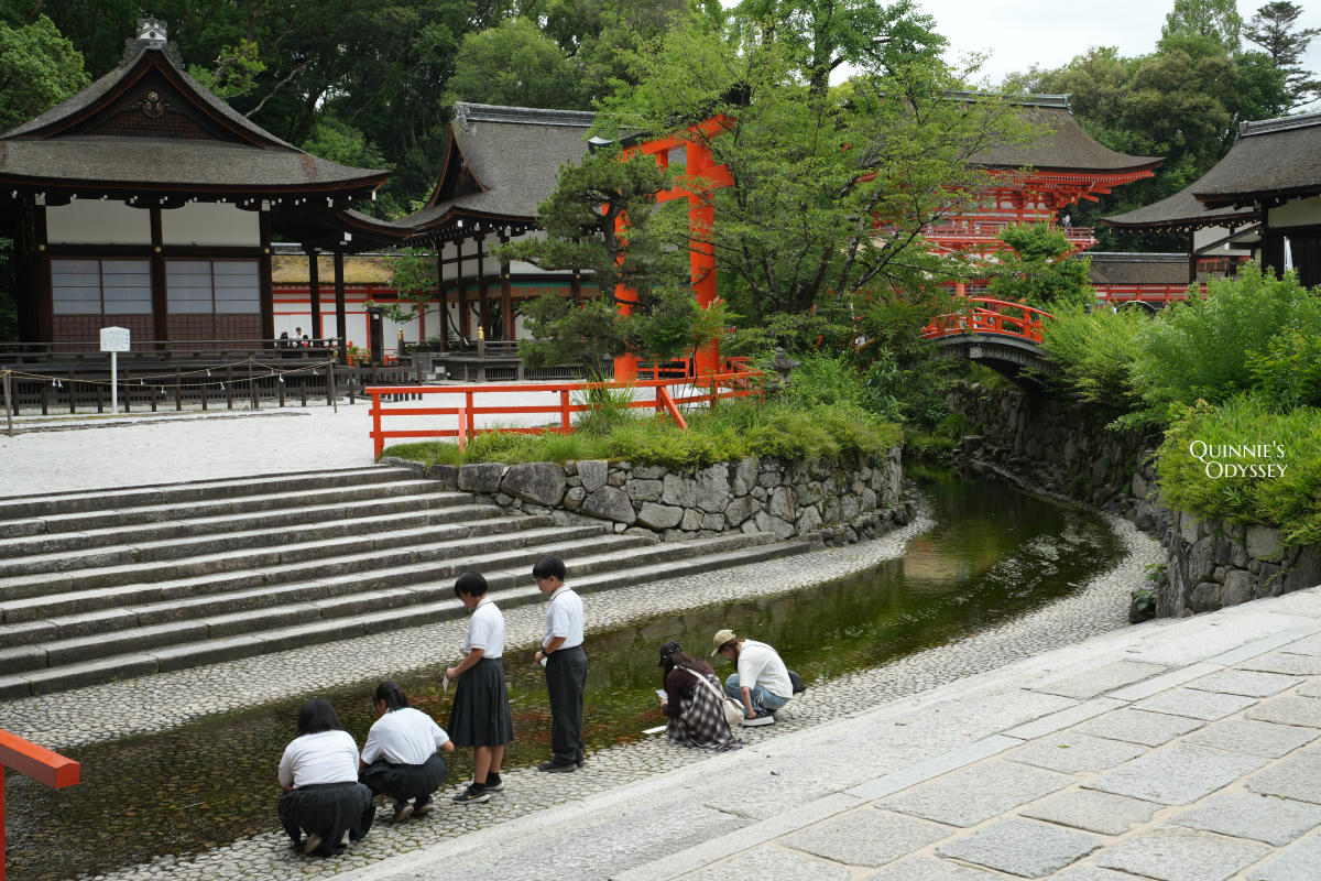 下鴨神社 御手洗社與御手洗池 水占卜