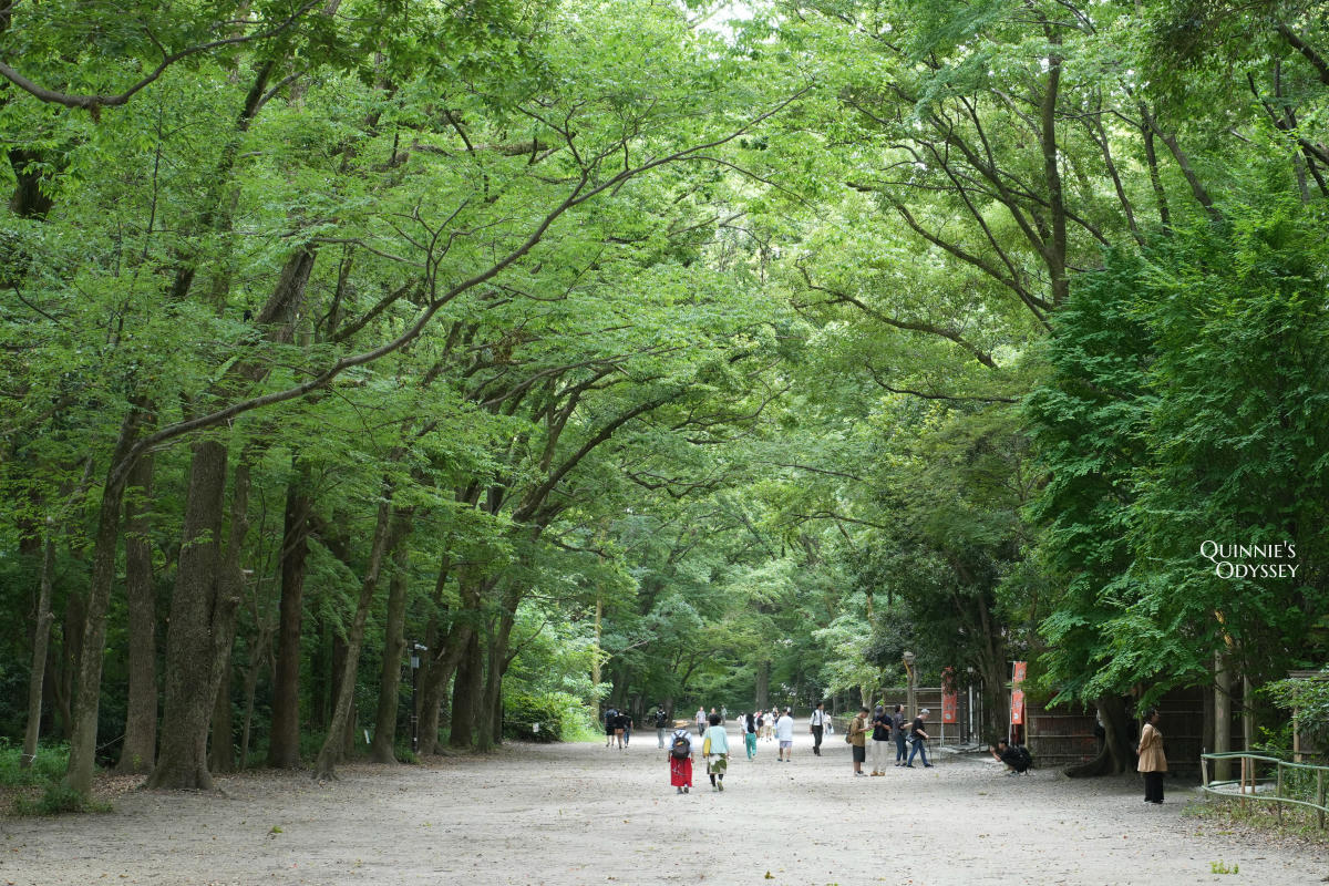 下鴨神社 糺之森