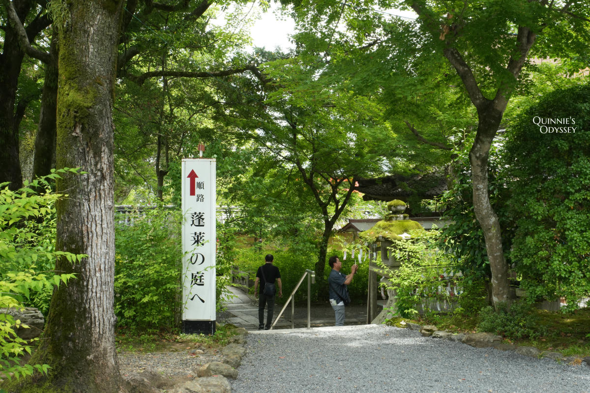 松尾大社 蓬莱の庭