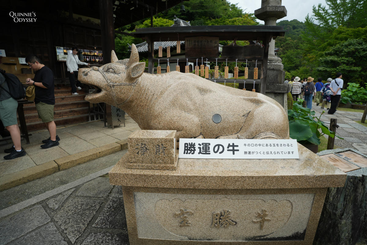 宇治三室戶寺:繡球花季、交通、門票、境內景點全整理 - 第12張圖 宇治三室戶寺 勝運牛