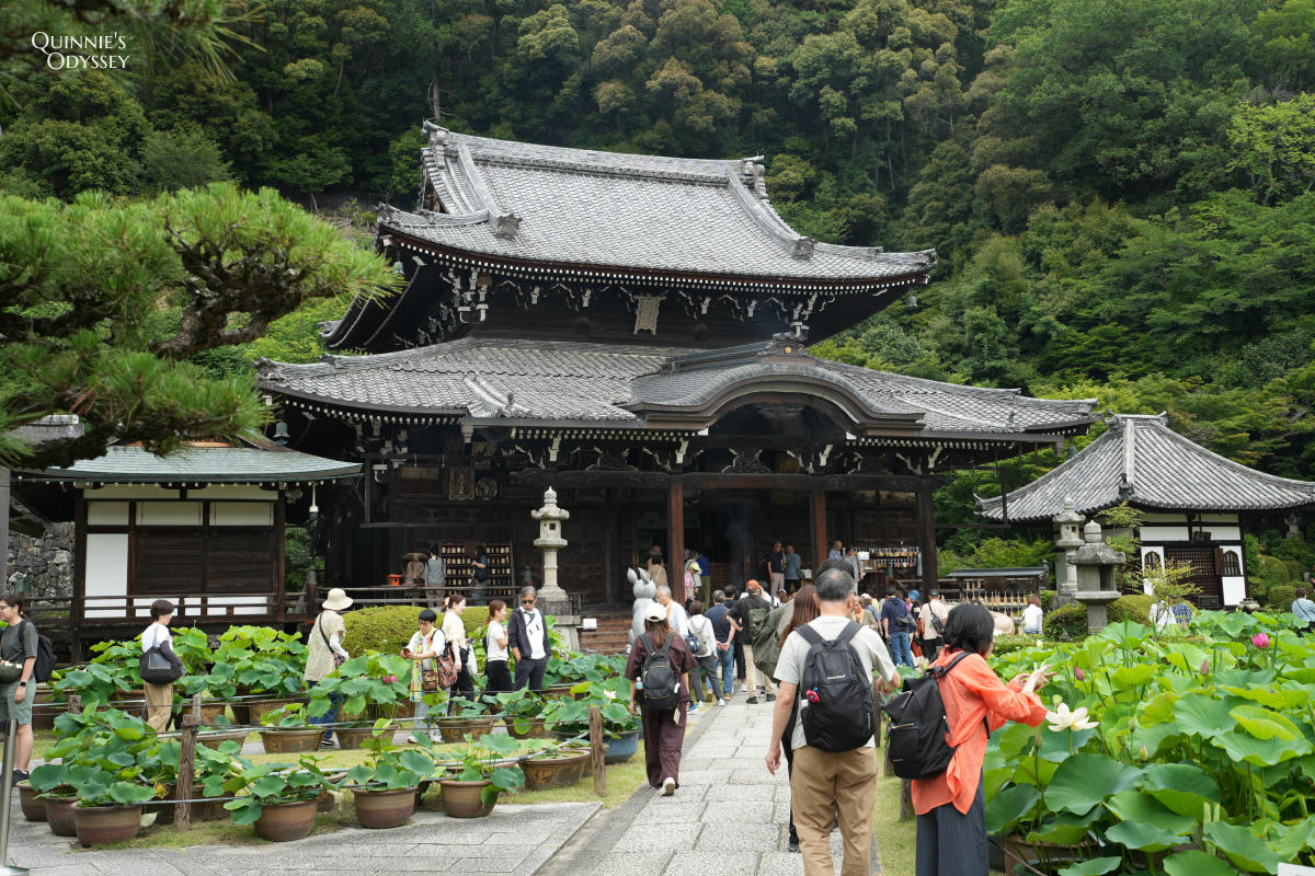 宇治三室戶寺:繡球花季、交通、門票、境內景點全整理 - 第13張圖 宇治三室戶寺 本堂