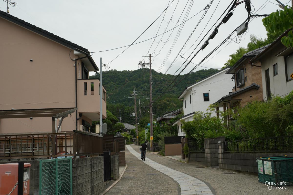 宇治三室戶寺:繡球花季、交通、門票、境內景點全整理 - 第5張圖 宇治三室戶寺 路線