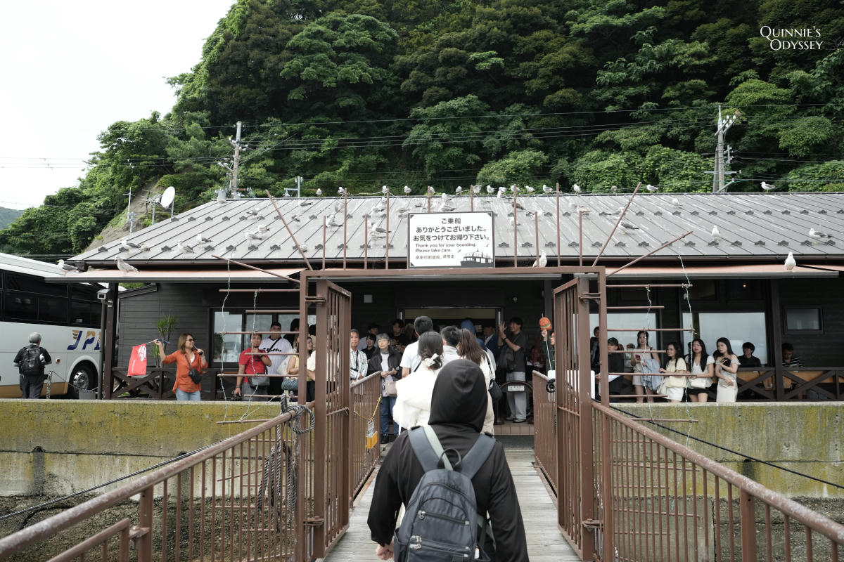 伊根灣遊覽船體驗