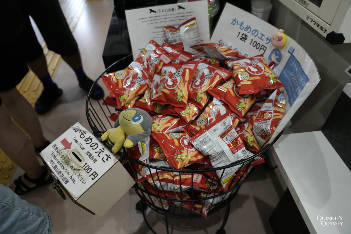 伊根灣遊覽船體驗 蝦味先