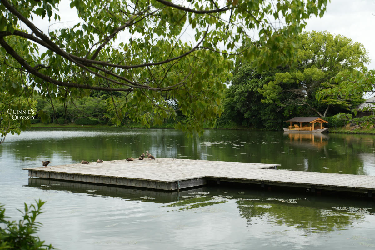 大覺寺大澤池:天皇離宮改建的寺廟,夏天走訪心得,附票價交通 - 第11張圖 大覺寺大澤池 池舞台