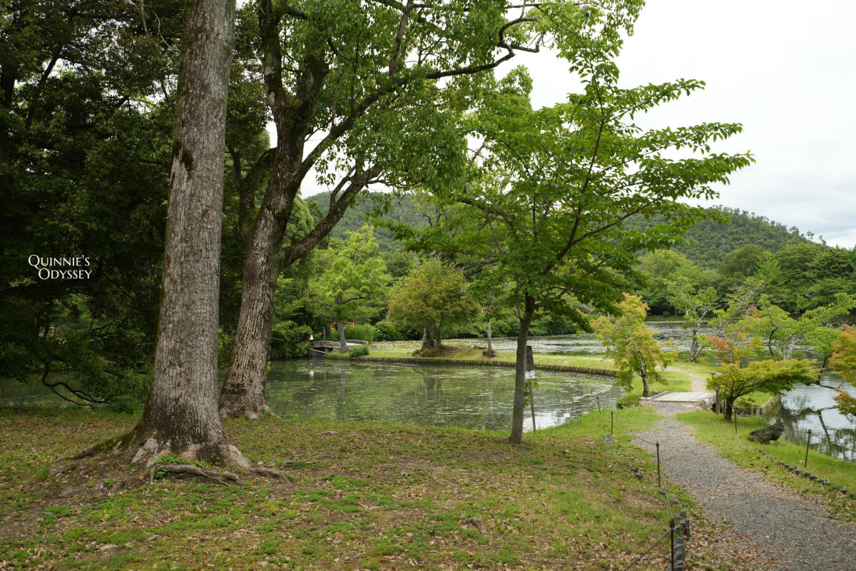 大覺寺大澤池:天皇離宮改建的寺廟,夏天走訪心得,附票價交通 - 第14張圖 大覺寺大澤池 放生池