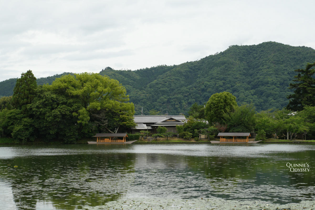 大覺寺大澤池:天皇離宮改建的寺廟,夏天走訪心得,附票價交通 - 第20張圖 大覺寺大澤池
