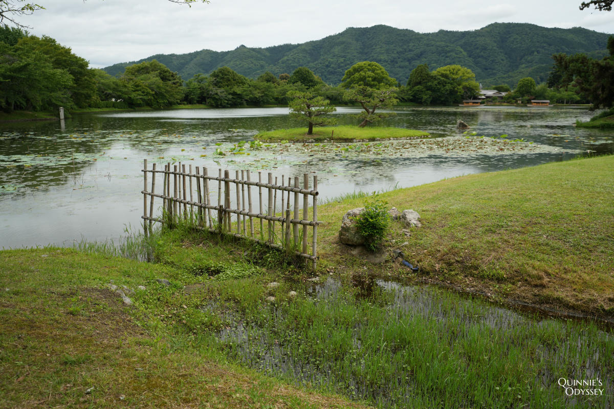 大覺寺大澤池:天皇離宮改建的寺廟,夏天走訪心得,附票價交通 - 第21張圖 大覺寺大澤池 菊ヶ島、庭湖石