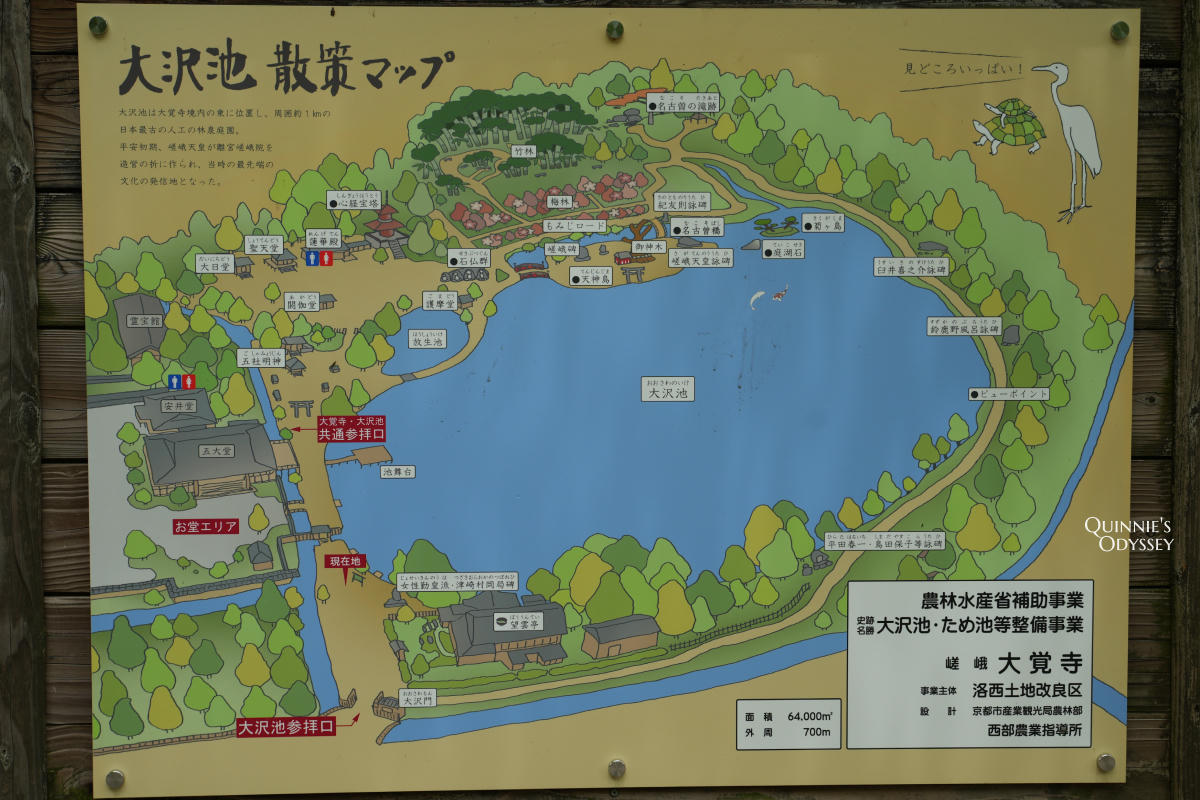 大覺寺大澤池:天皇離宮改建的寺廟,夏天走訪心得,附票價交通 - 第10張圖 大覺寺大澤池 地圖