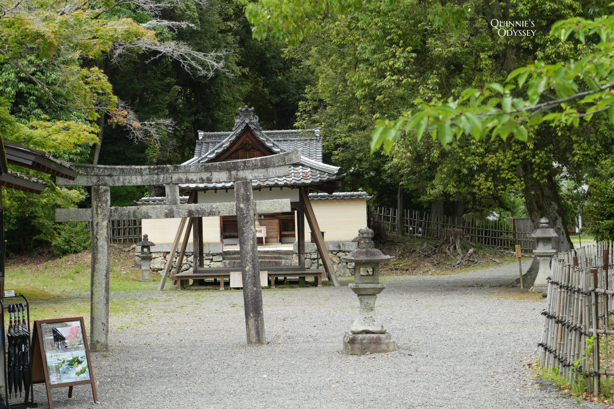 大覺寺大澤池:天皇離宮改建的寺廟,夏天走訪心得,附票價交通 - 第13張圖 大覺寺大澤池 五社明神