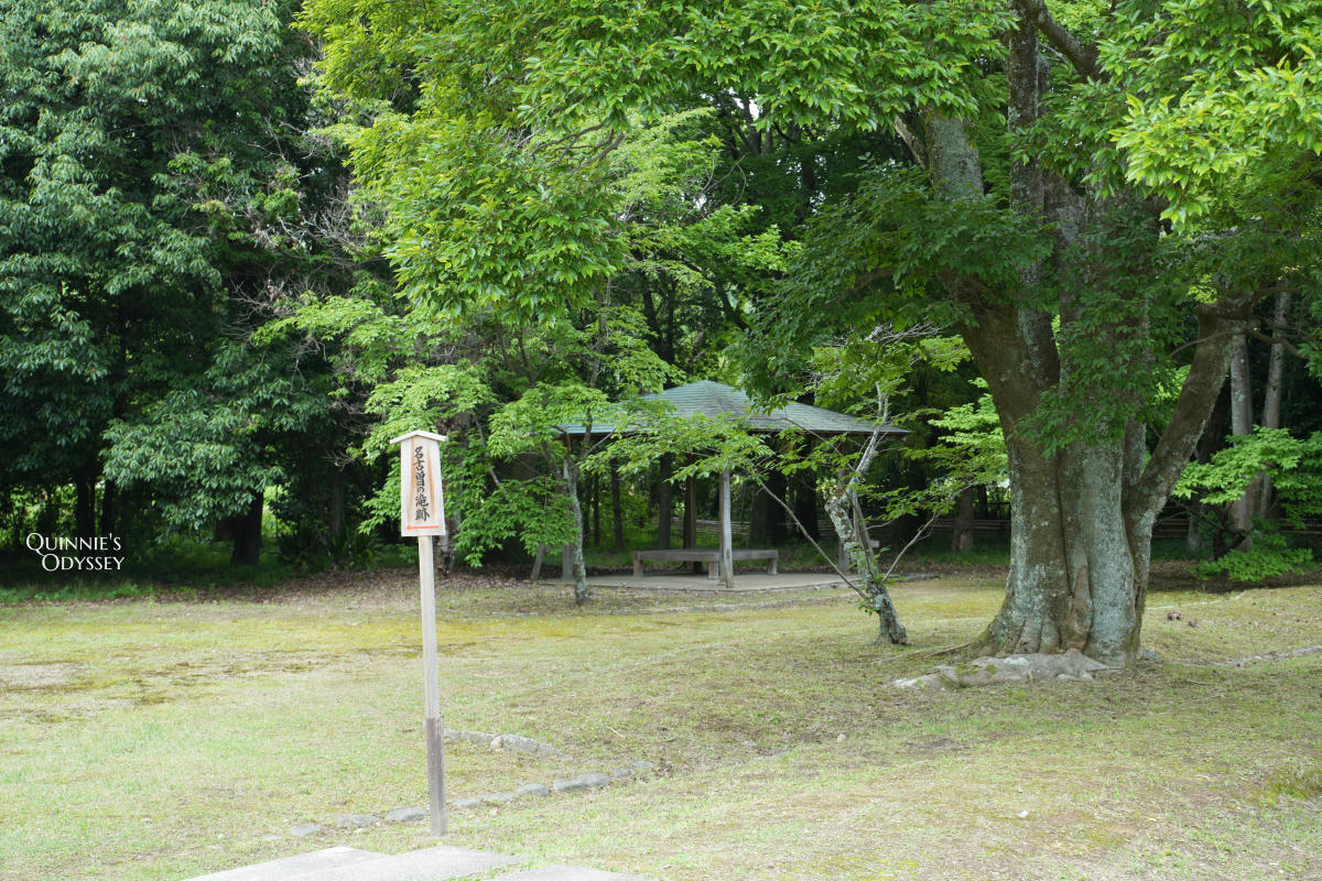 大覺寺大澤池:天皇離宮改建的寺廟,夏天走訪心得,附票價交通 - 第23張圖 大覺寺大澤池 名古曾の滝跡