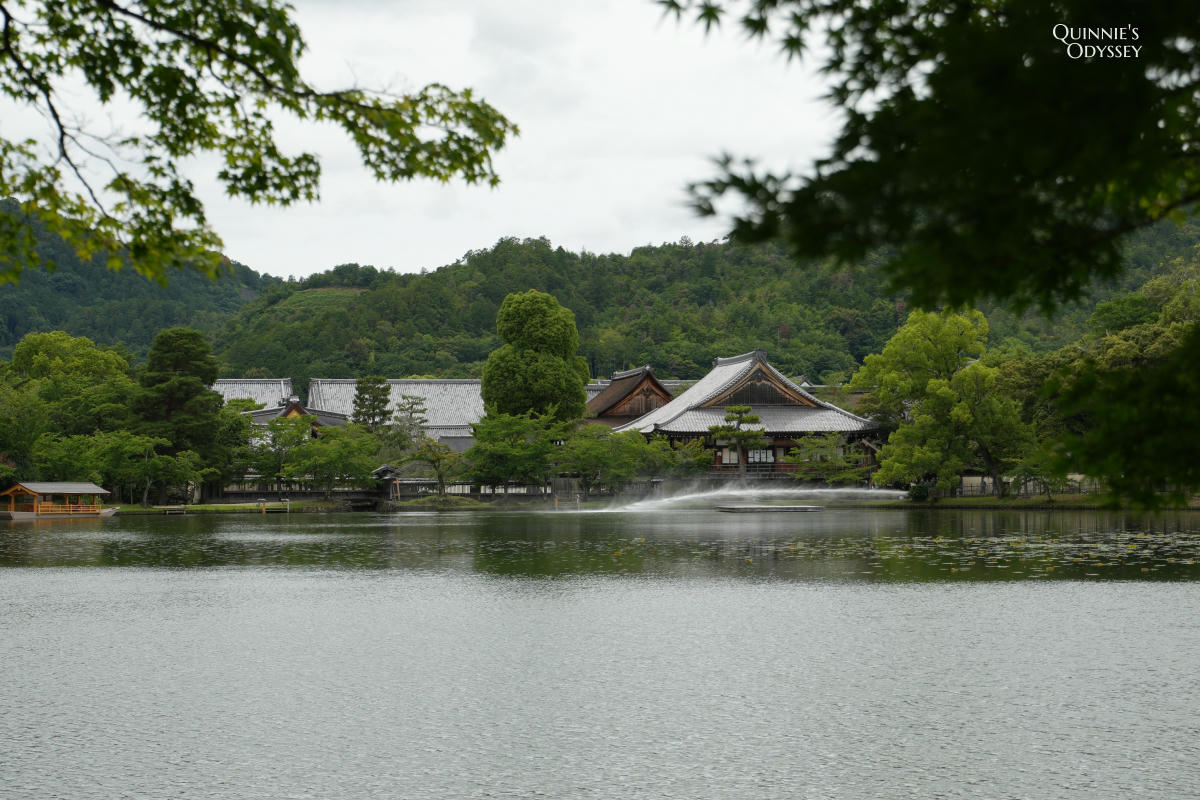 大覺寺大澤池:天皇離宮改建的寺廟,夏天走訪心得,附票價交通 - 第27張圖 大覺寺大澤池 觀景點