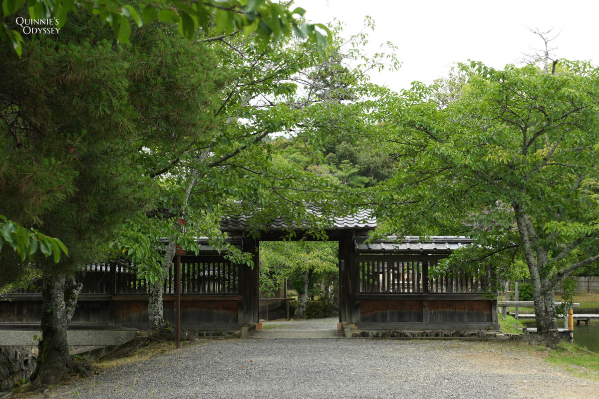 大覺寺大澤池:天皇離宮改建的寺廟,夏天走訪心得,附票價交通 - 第9張圖 大覺寺大澤池