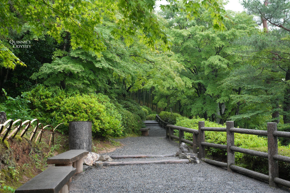 天龍寺完整攻略:曹源池、門票、開放時間與動線一次整理 - 第25張圖 天龍寺 竹林小徑