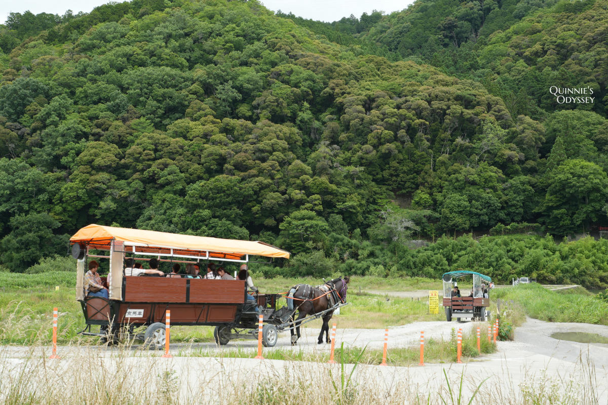 嵐山小火車完整攻略:訂票教學、座位選擇、路線安排一次搞定 - 第26張圖 嵐山小火車 京馬車
