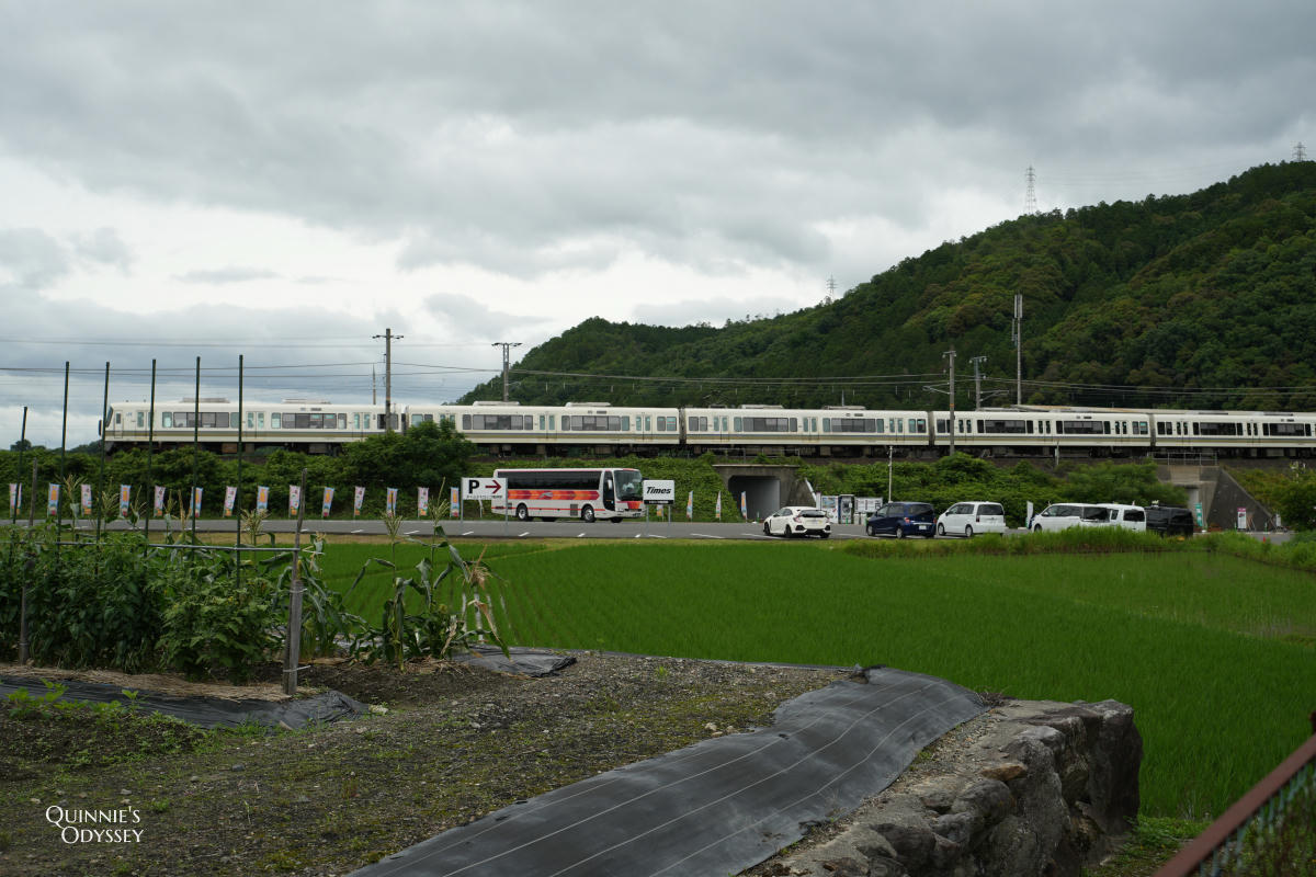 嵐山小火車完整攻略:訂票教學、座位選擇、路線安排一次搞定 - 第28張圖 嵐山小火車 龜岡站