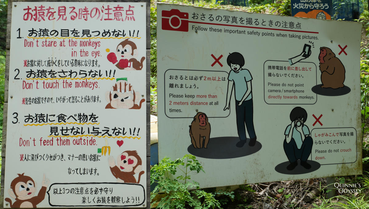 嵐山猴子公園完整攻略:門票交通、爬山路況、山頂景觀一次整理 - 第12張圖 嵐山猴子公園 注意事項