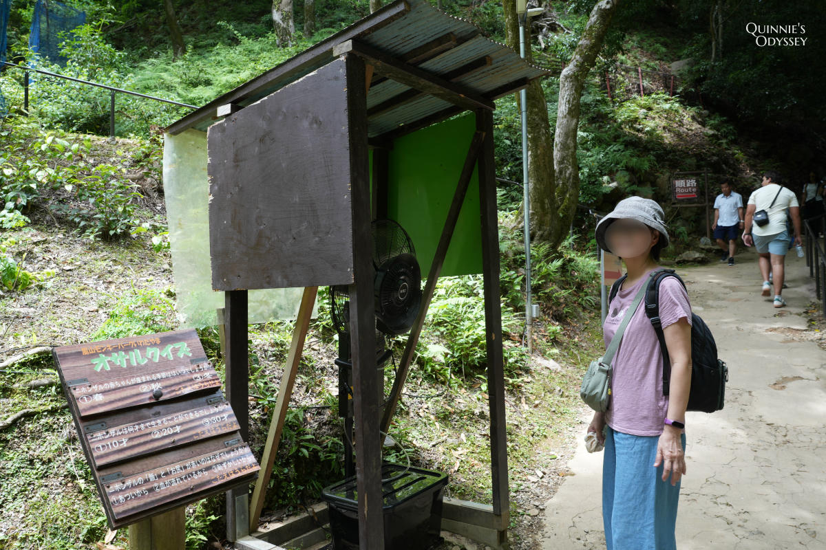 嵐山猴子公園完整攻略:門票交通、爬山路況、山頂景觀一次整理 - 第9張圖 嵐山猴子公園 爬山