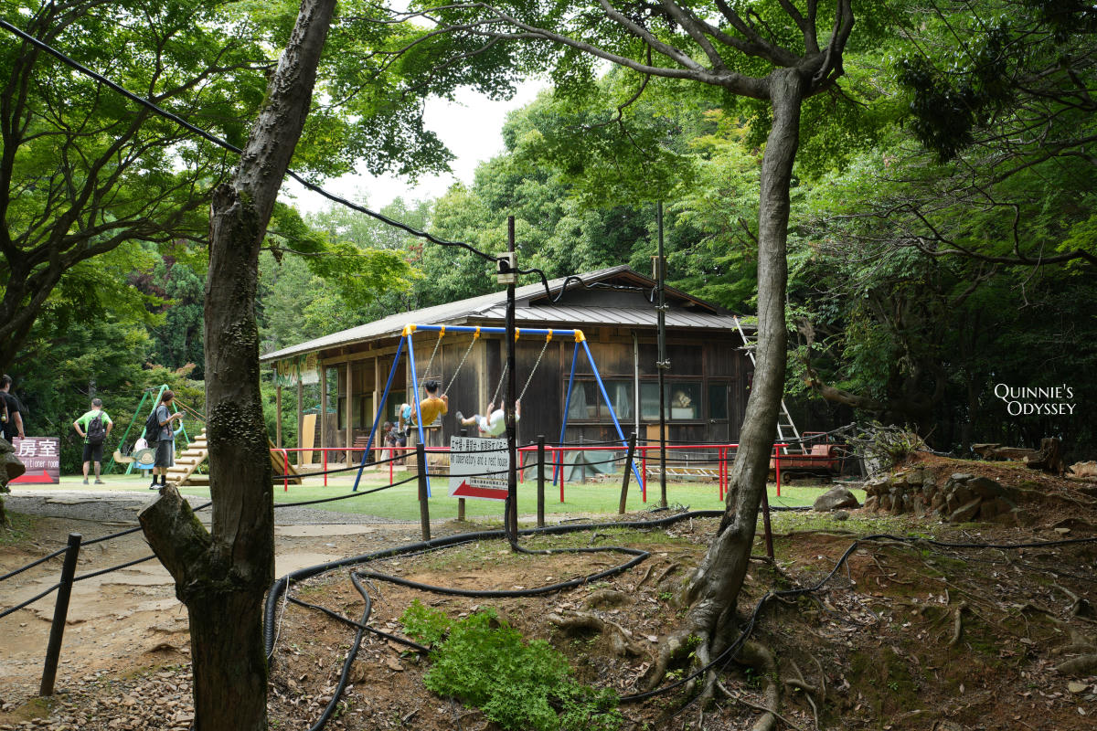 嵐山猴子公園完整攻略:門票交通、爬山路況、山頂景觀一次整理 - 第10張圖 嵐山猴子公園 遊戲設施