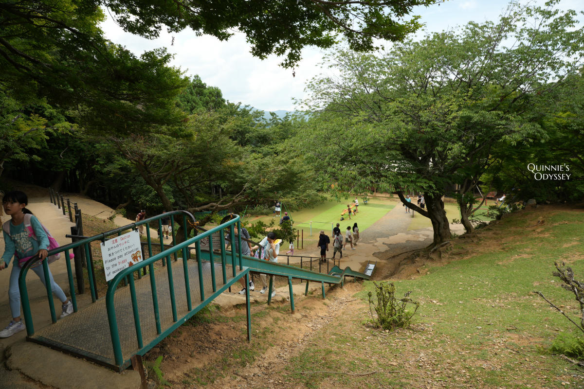 嵐山猴子公園完整攻略:門票交通、爬山路況、山頂景觀一次整理 - 第11張圖 嵐山猴子公園 山頂