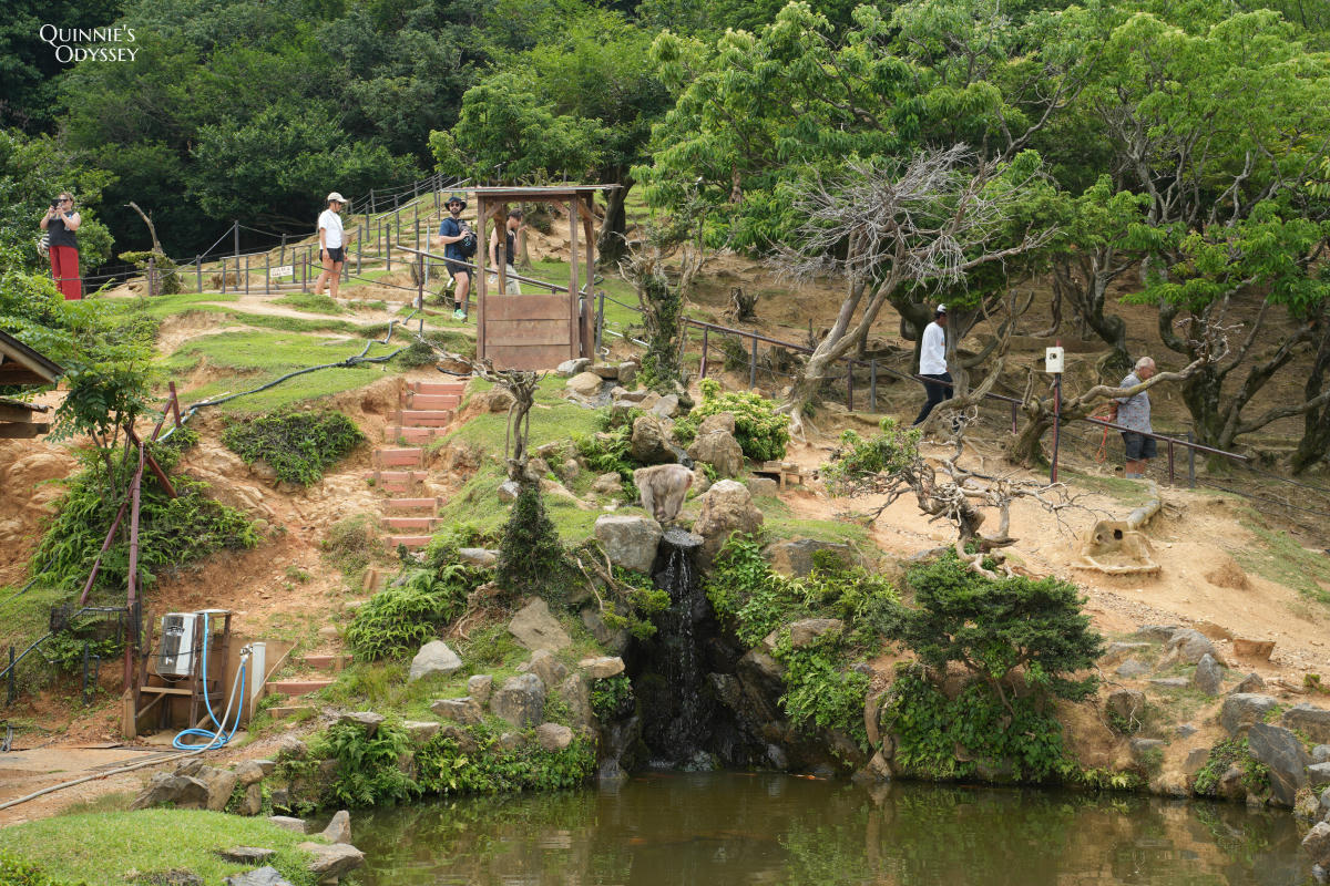 嵐山猴子公園完整攻略:門票交通、爬山路況、山頂景觀一次整理 - 第16張圖 嵐山猴子公園 池塘
