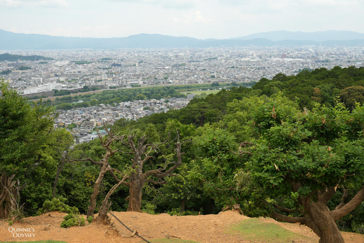 嵐山猴子公園完整攻略:門票交通、爬山路況、山頂景觀一次整理 - 第26張圖 嵐山猴子公園 展望台