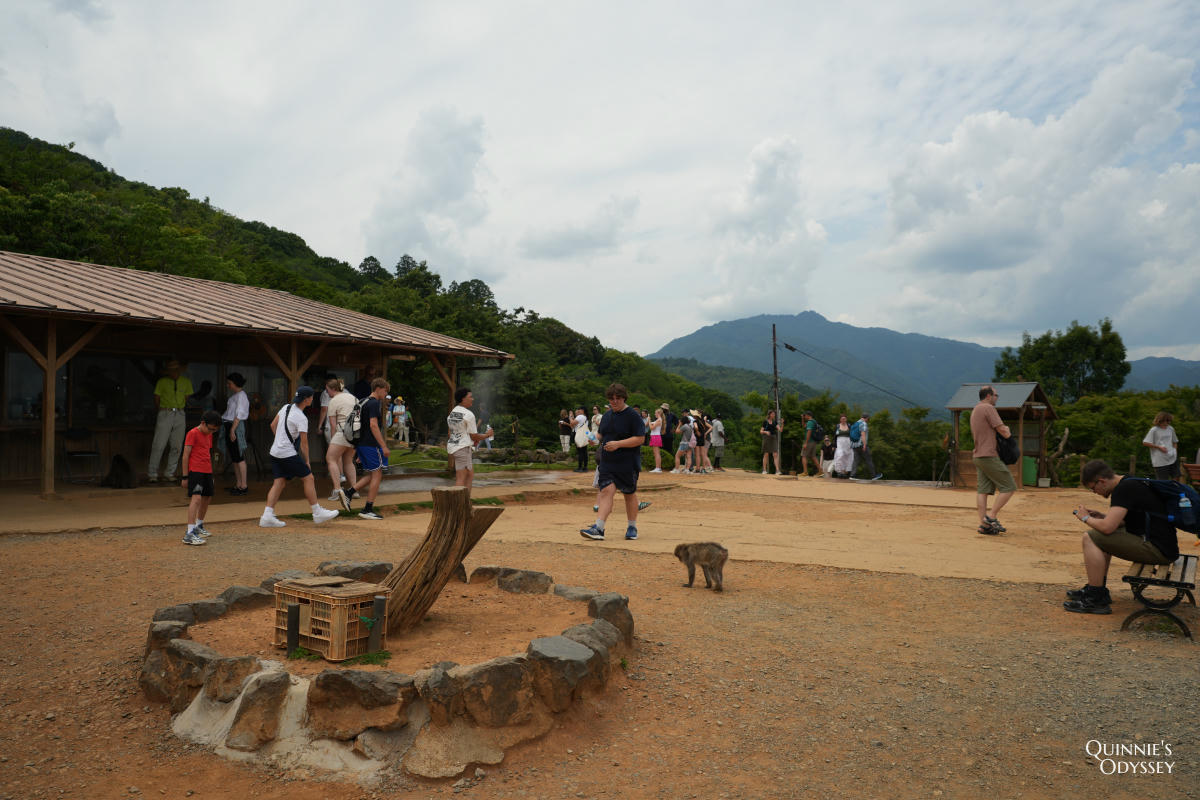 嵐山猴子公園完整攻略:門票交通、爬山路況、山頂景觀一次整理 - 第23張圖 嵐山猴子公園 展望台
