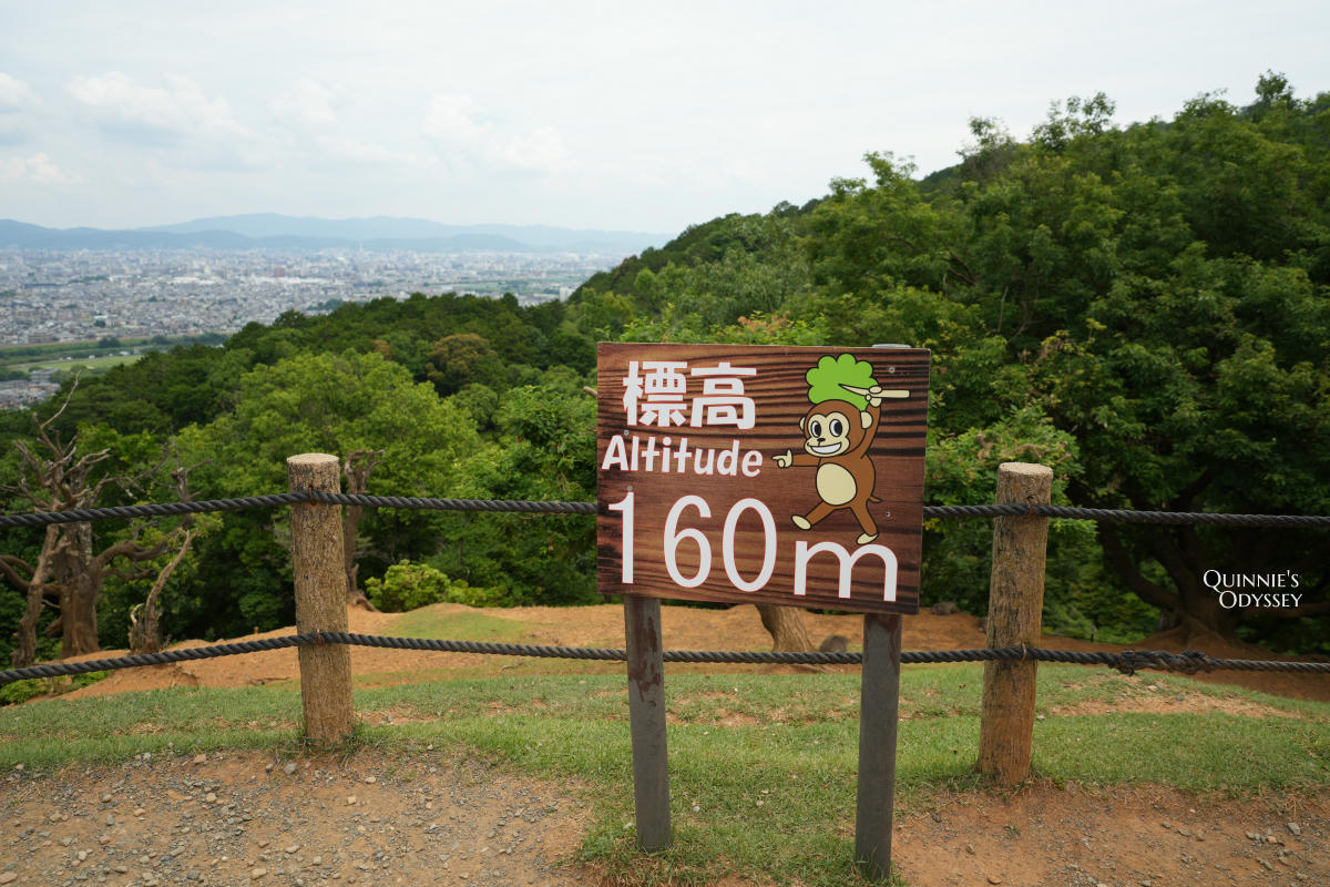 嵐山猴子公園完整攻略:門票交通、爬山路況、山頂景觀一次整理 - 第24張圖 嵐山猴子公園 展望台 標高160m