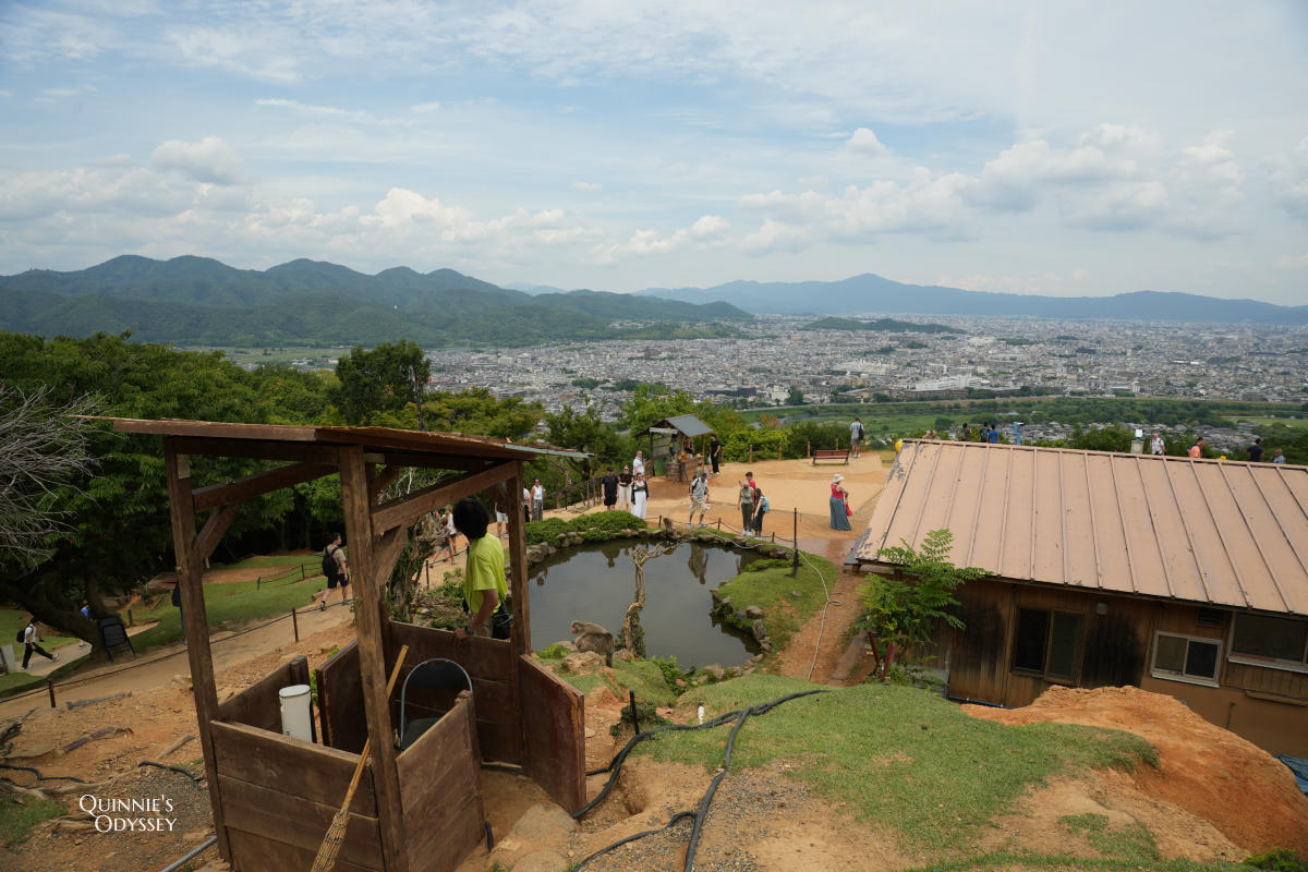 嵐山猴子公園完整攻略:門票交通、爬山路況、山頂景觀一次整理 - 第27張圖 嵐山猴子公園 展望台