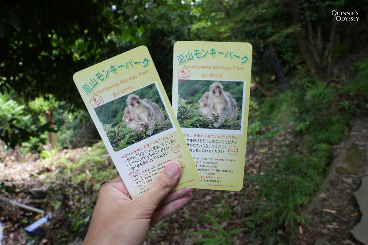 嵐山猴子公園完整攻略:門票交通、爬山路況、山頂景觀一次整理 - 第6張圖 嵐山猴子公園 門票