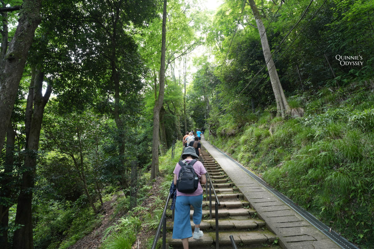 嵐山猴子公園完整攻略:門票交通、爬山路況、山頂景觀一次整理 - 第7張圖 嵐山猴子公園 爬山