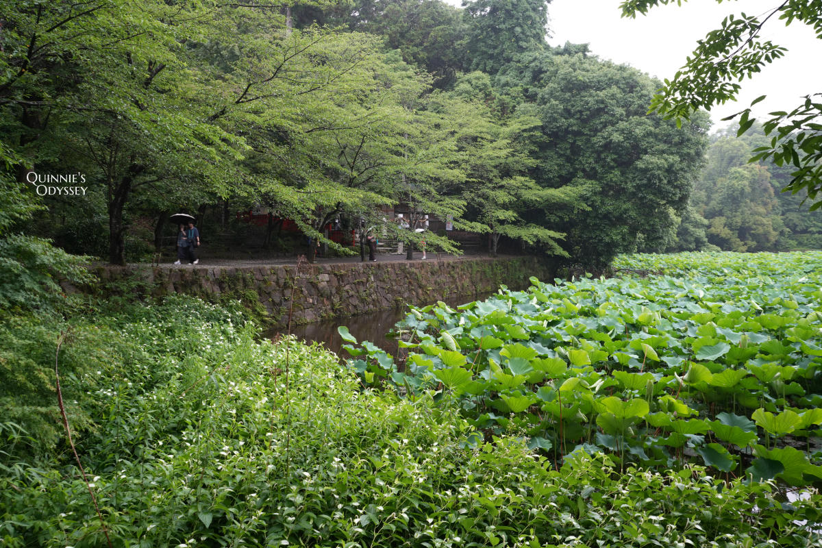 嵐山御髮神社:日本唯一頭髮神社,超可愛梳子剪刀御守 - 第3張圖 御髮神社 小倉池