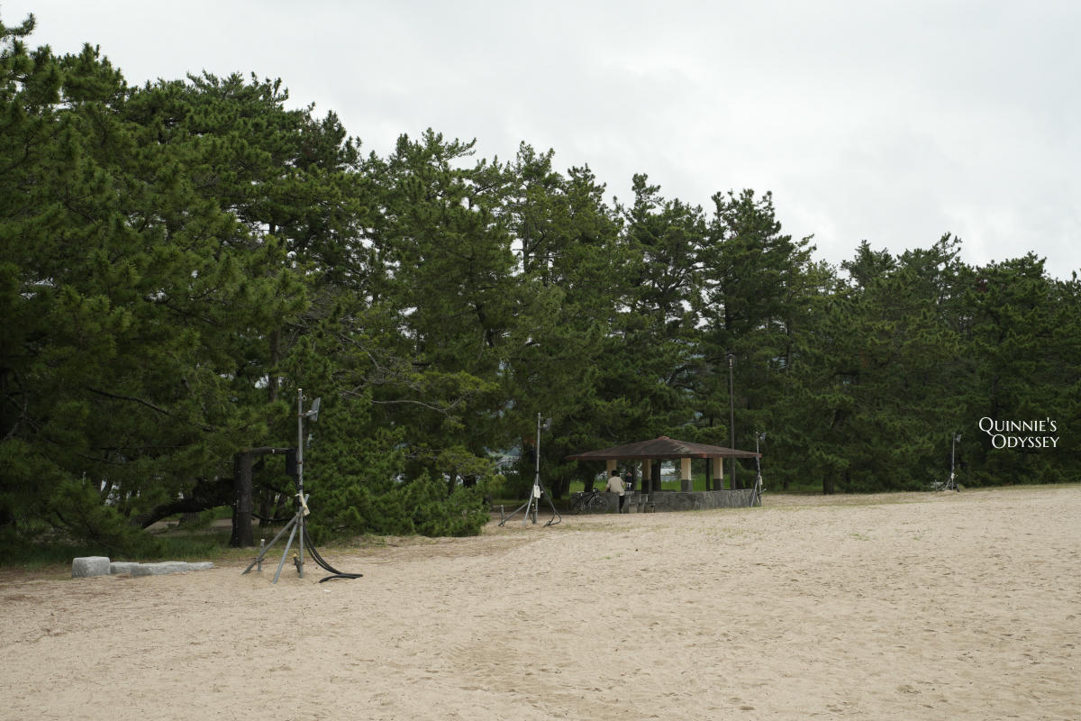 天橋立智恩寺 天橋立沙洲