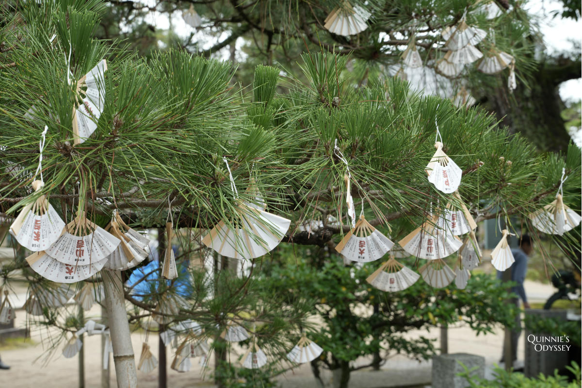 天橋立智恩寺 扇子籤