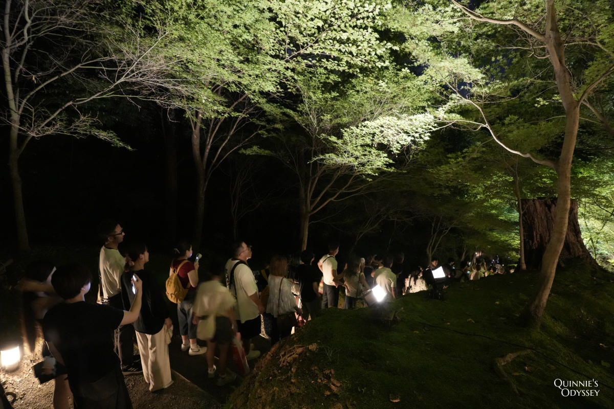 高台寺 東山觀月路 竹林
