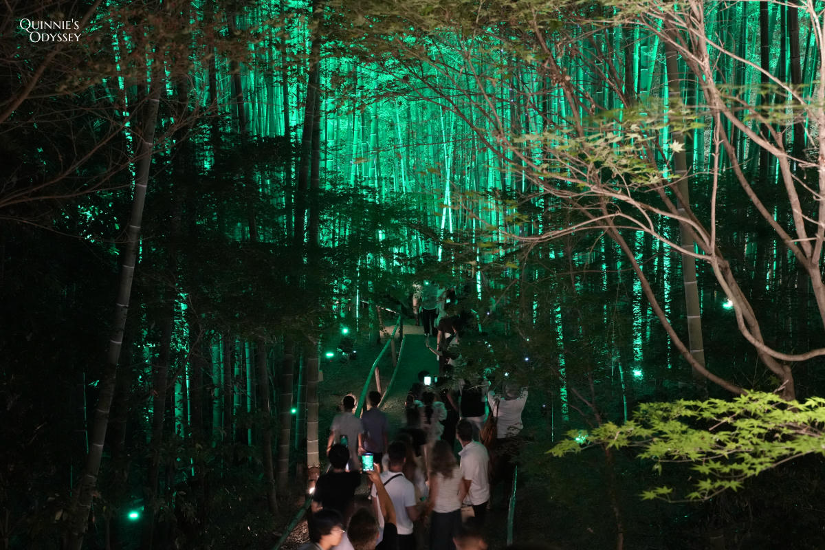 高台寺 東山觀月路 竹林